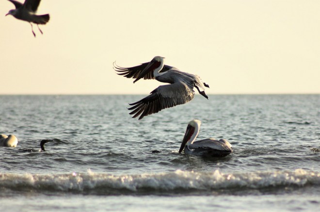 IMG_8911.JPG