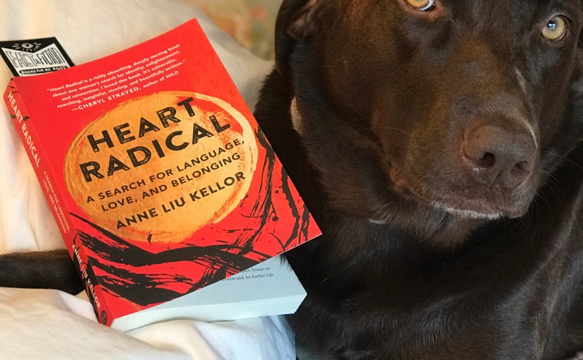 Books to Mark The Past and New&nbsp;Year