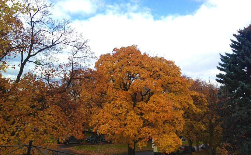 Ode to October