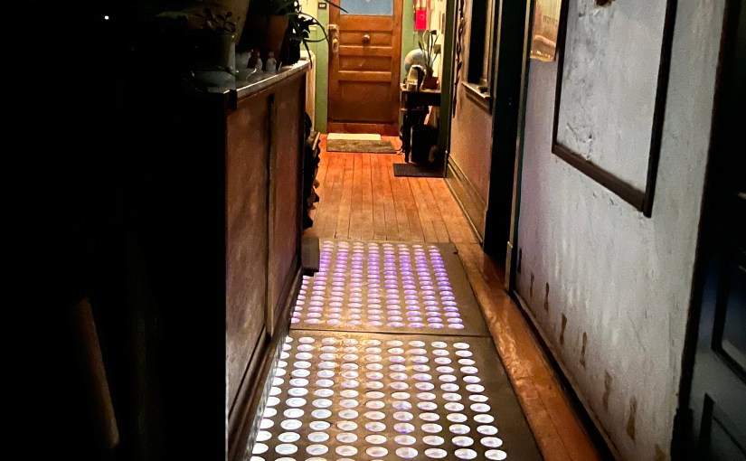 Where the Light&nbsp;Shines